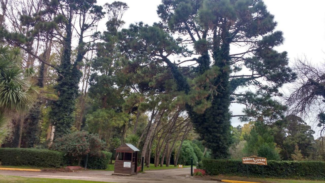 Edificio Playa Club Daire Miramar  Dış mekan fotoğraf